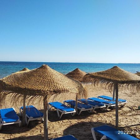 Tango Mango Apartment! Plaza 5 Min, Basen! Торевиеха Екстериор снимка